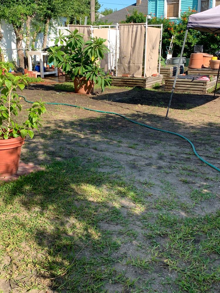 BioChar DGâ„¢ - Customer Photo From Kathy Curran