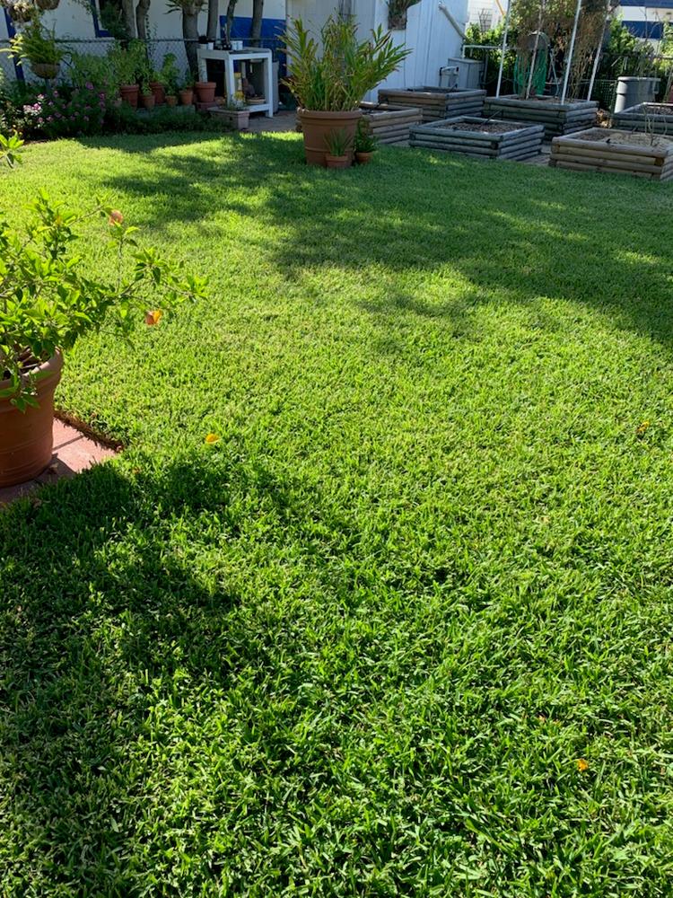 BioChar DGâ„¢ - Customer Photo From Kathy Curran