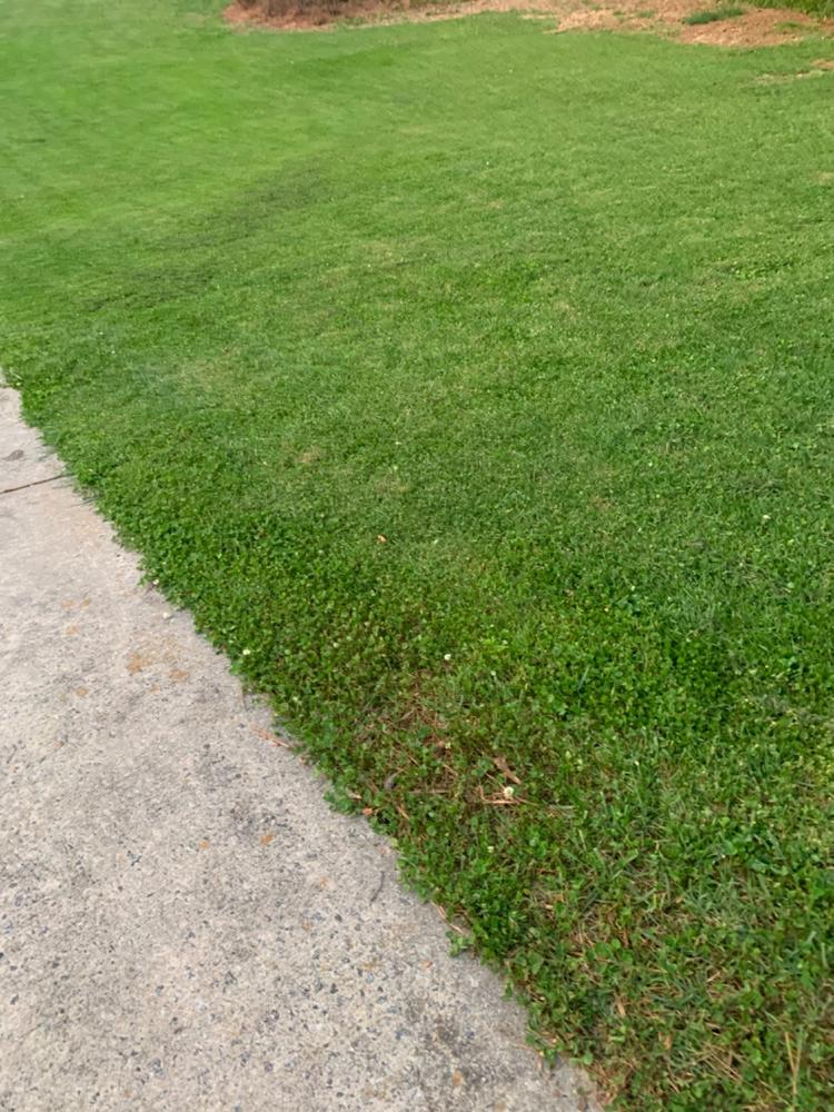 BarricadeÂ® - Customer Photo From stephanie kitchens