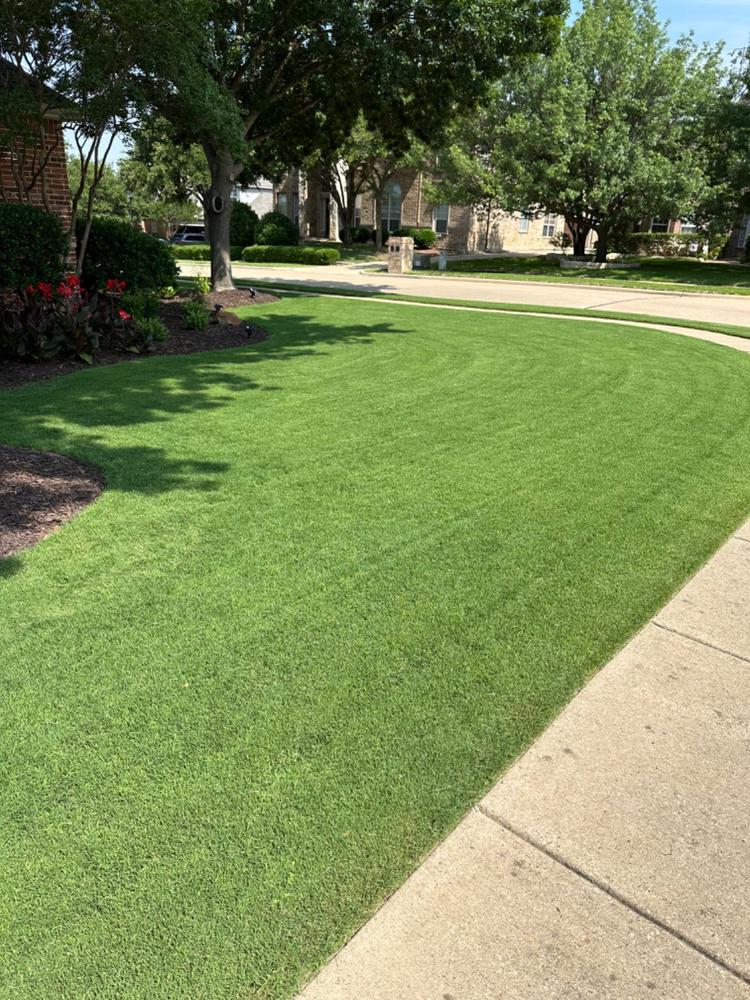 BarricadeÂ® - Customer Photo From Gregory Zeman