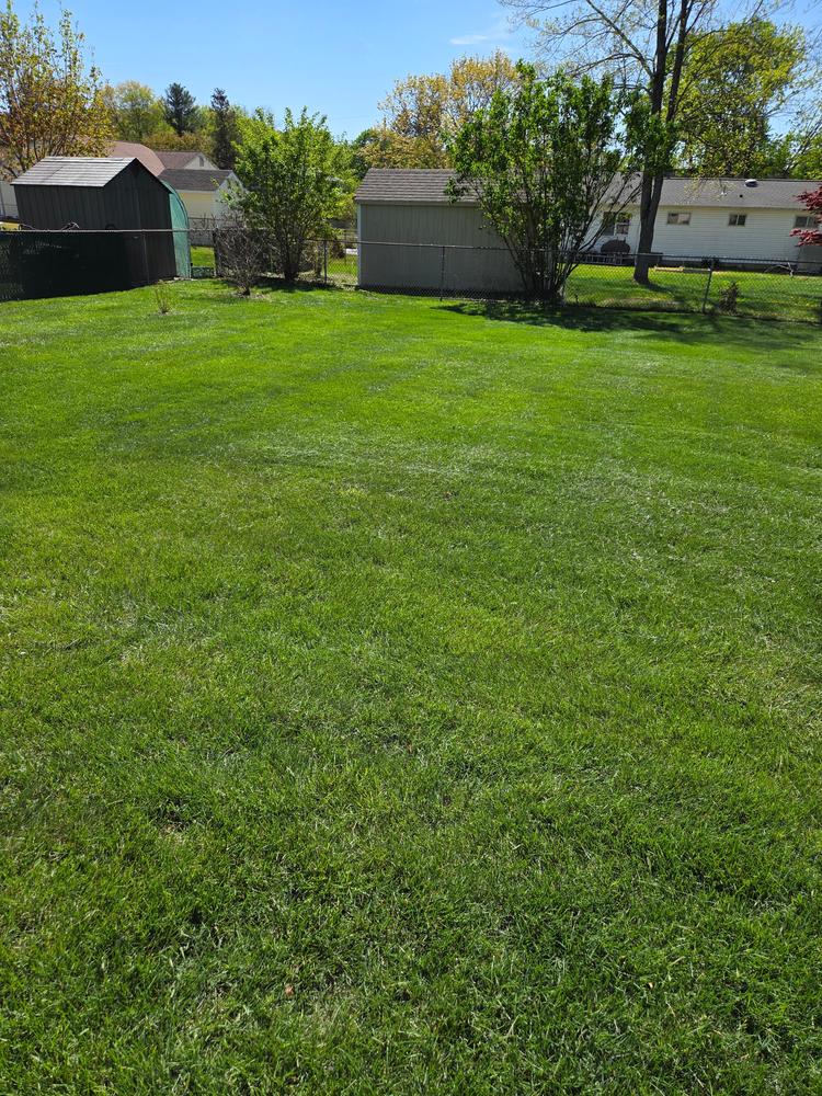 Surge® Weed & Feed - Customer Photo From Sam