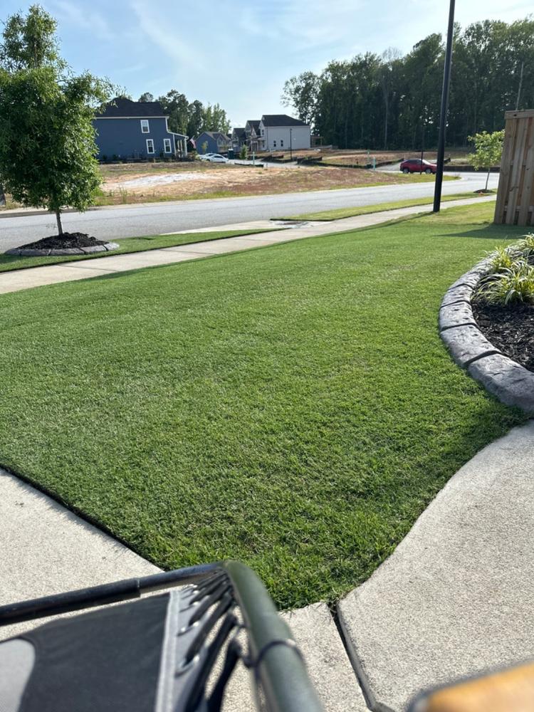 Surge Weed & Feed - Customer Photo From Brian Clydesdale