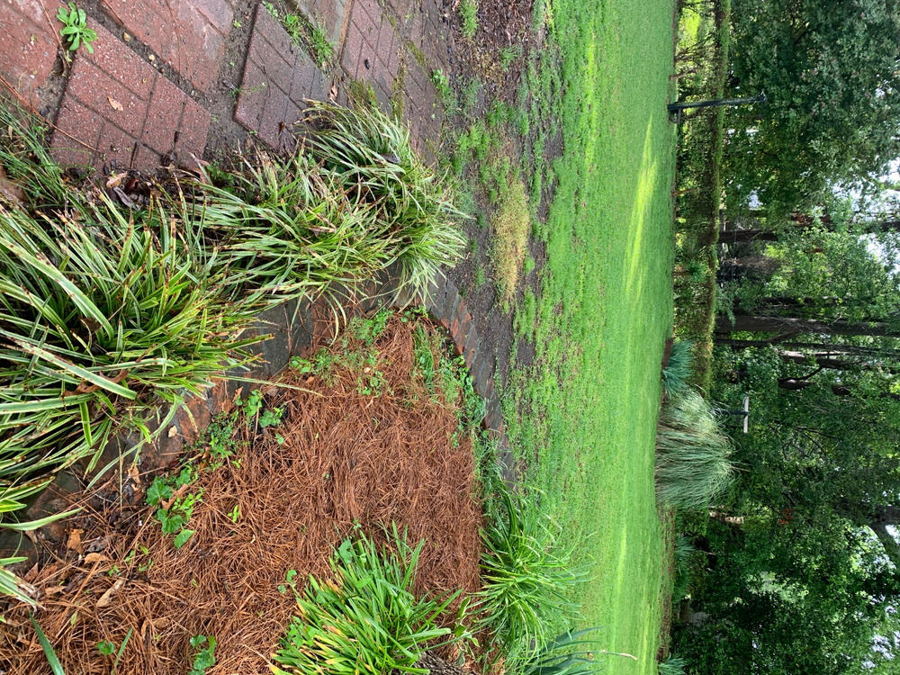 PGF Complete™ - Customer Photo From Stephanie Kitchens
