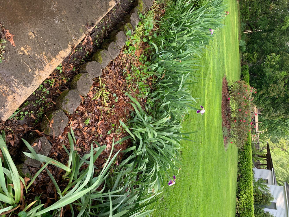 PGF Complete™ - Customer Photo From Stephanie Kitchens