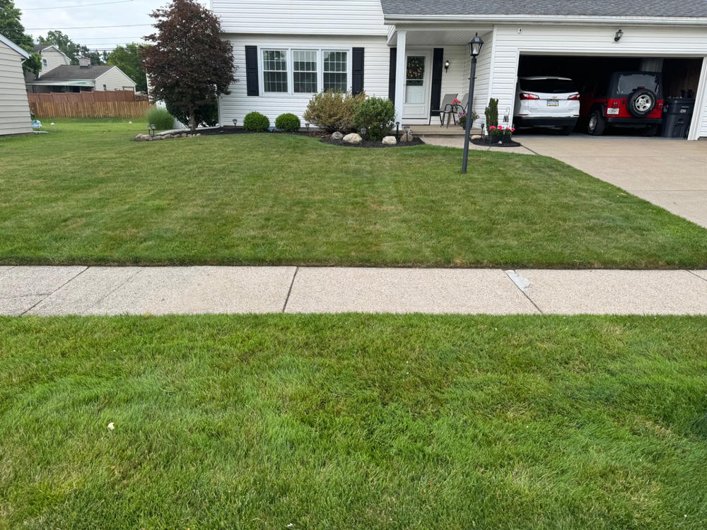 PGF Complete - Customer Photo From Michael Kuhar