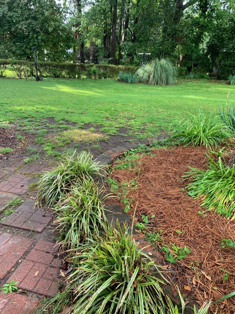 PGF Complete™ - Customer Photo From Stephanie Kitchens