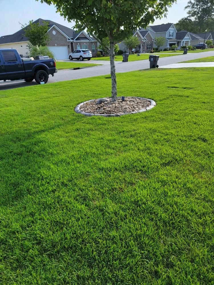 PGF Complete - Customer Photo From Paul del Valle