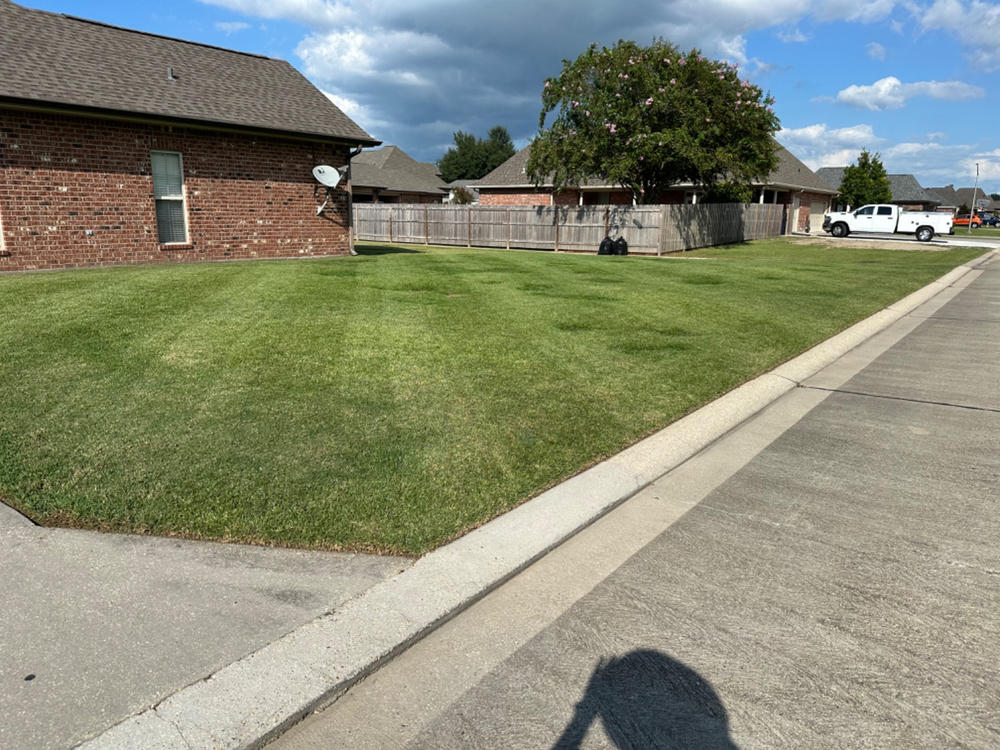 New Lawn Starter - Customer Photo From Winfred Bryant
