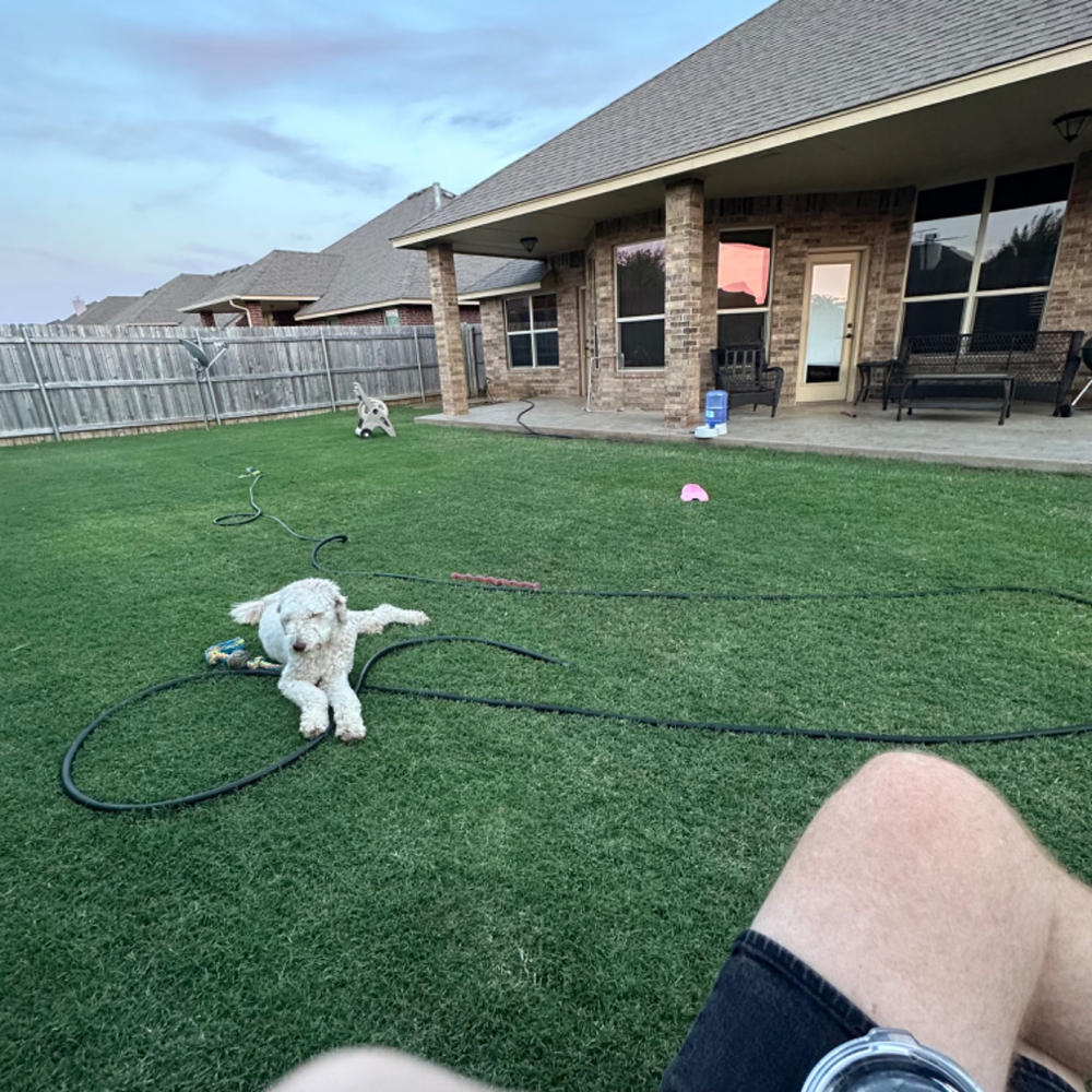 Lawn Food - Customer Photo From Ben Owen