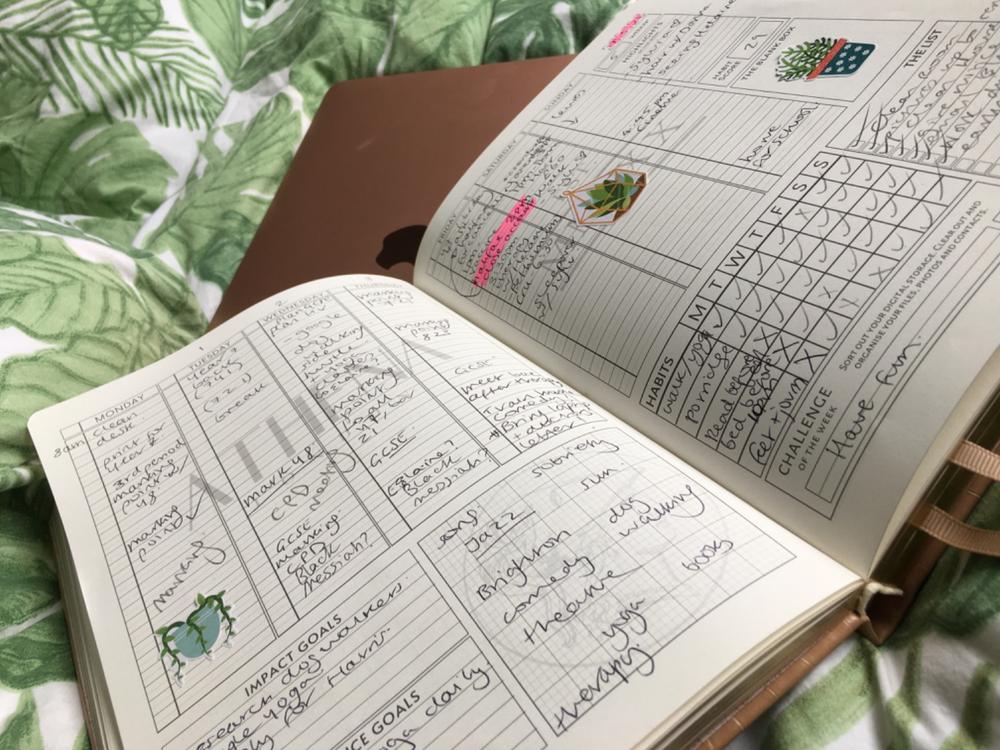 The Aspira© Planner - Customer Photo From Anonymous
