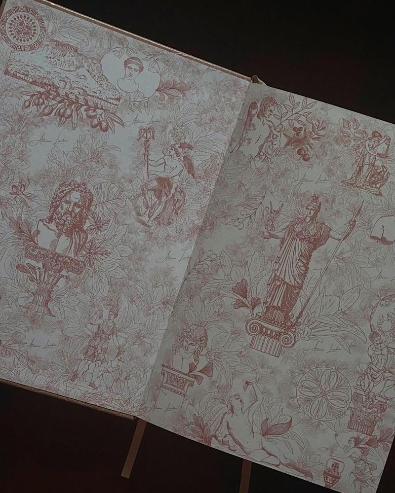 The Aspira© Planner - Customer Photo From Rhona R.