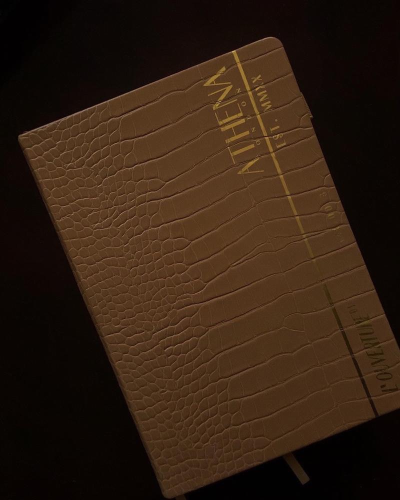 The Aspira© Planner - Customer Photo From Rhona R.