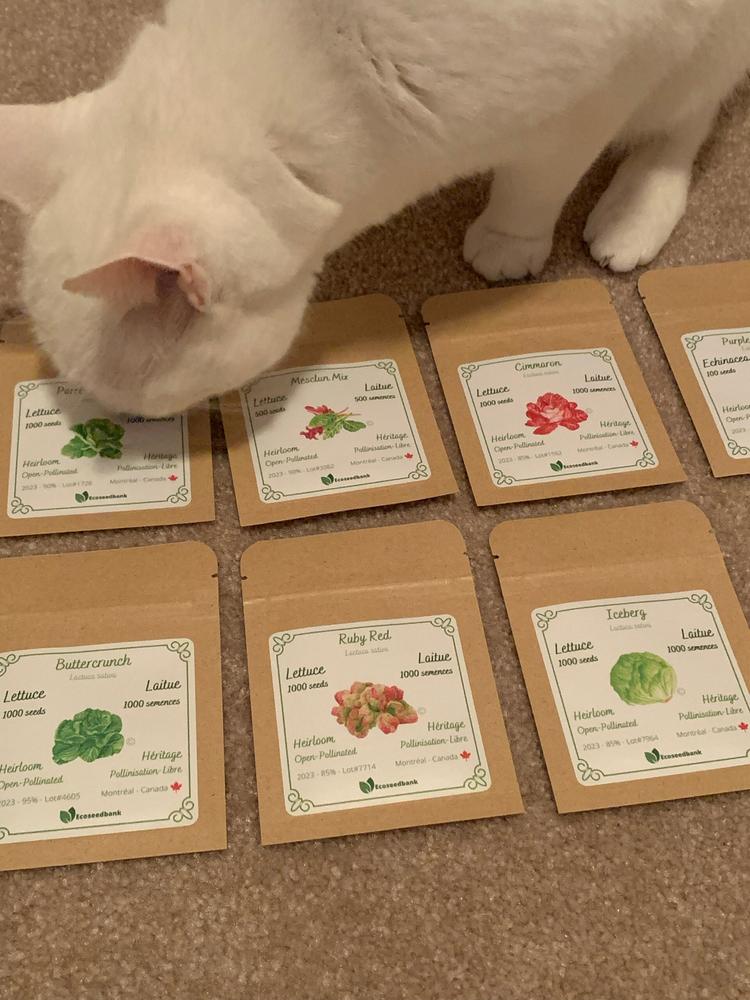 6x Lettuce Seed Assortment - Customer Photo From Heather G