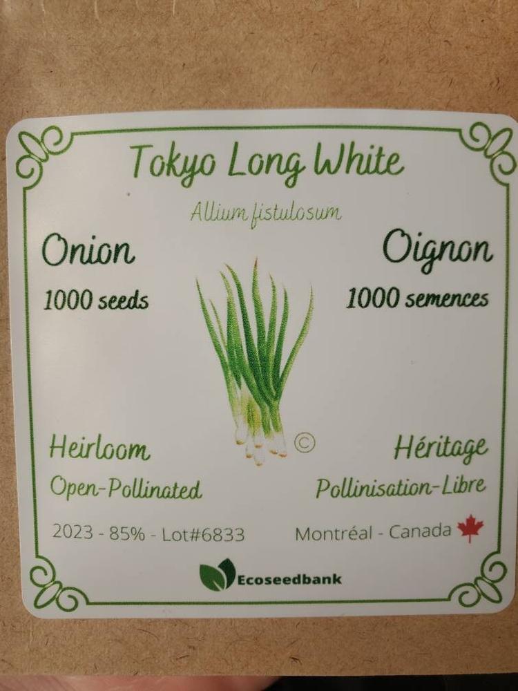 Tokyo Long White Onion Seeds - Customer Photo From Gobbin S