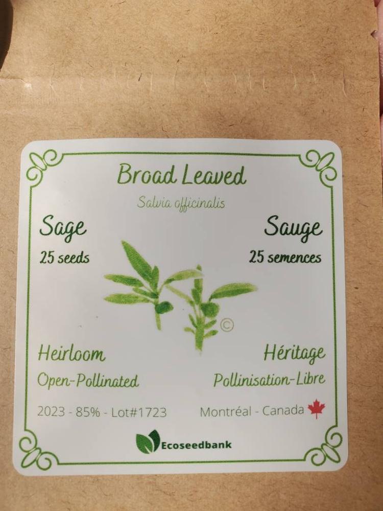 Broad Leaved Sage Seeds - Customer Photo From Gobbin S