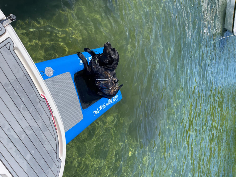 Dog On Water Ramp - Customer Photo From Jason Keim
