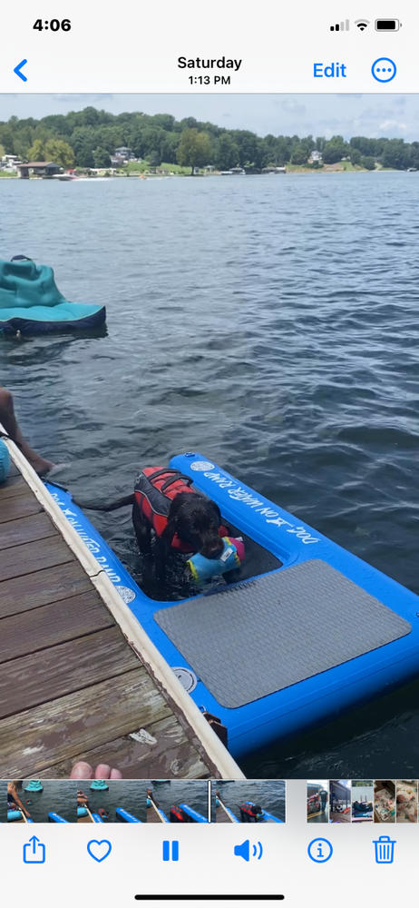 Dog On Water Ramp - Customer Photo From John Kern