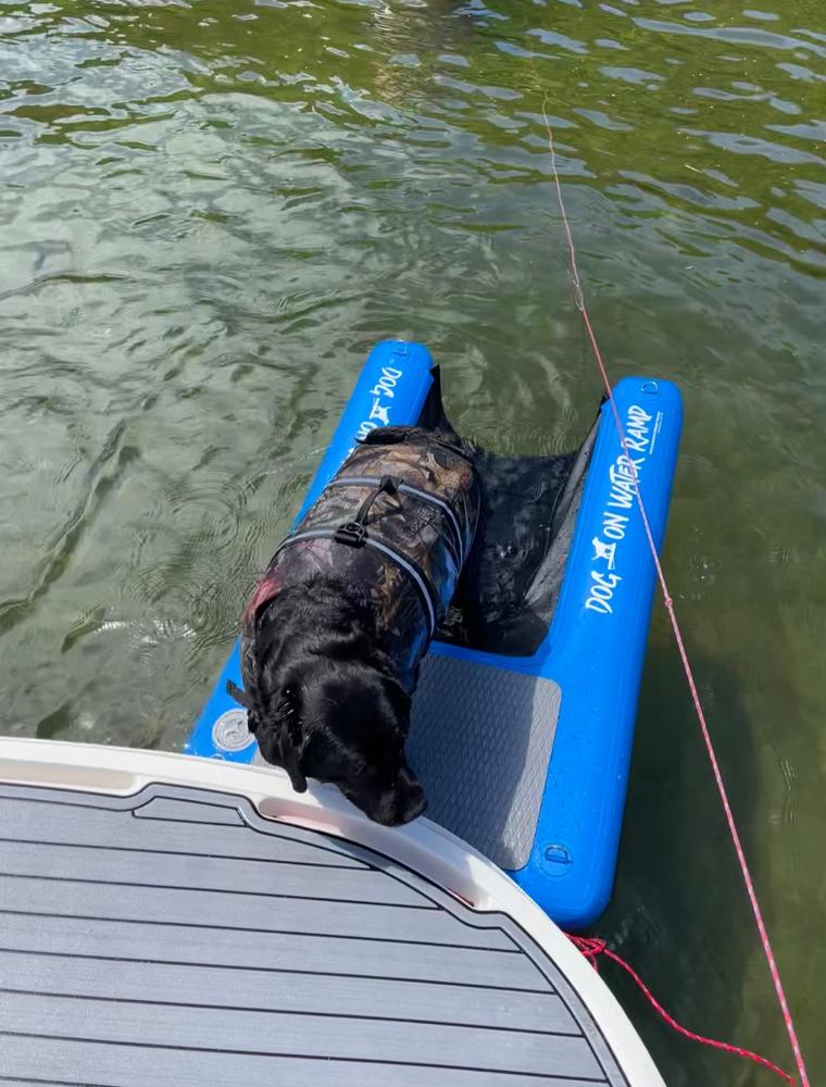 Dog On Water Ramp - Customer Photo From Jason Keim
