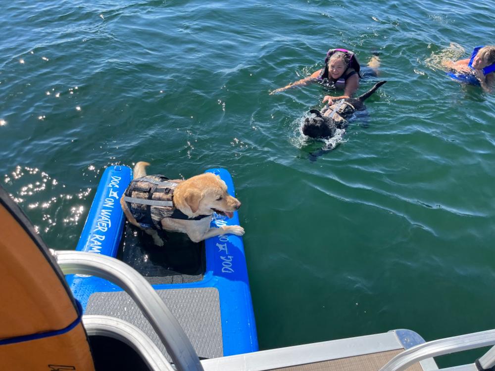 Dog On Water Ramp - Customer Photo From Shannon Maples