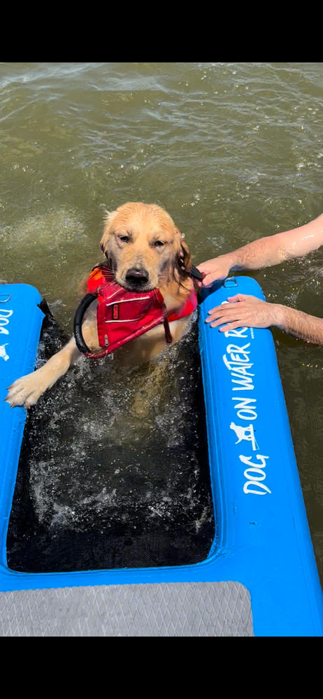 Dog On Water Ramp - Customer Photo From Eugene Gamble
