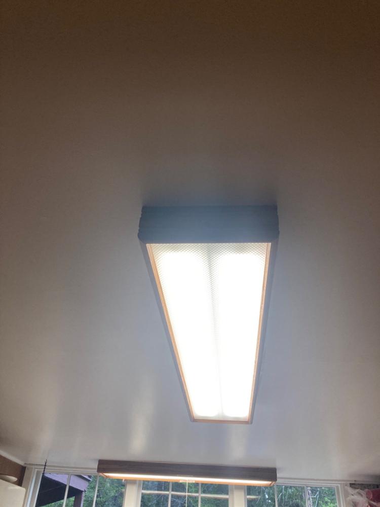 T8 LED Tube, 4 Ft, Clear, Bypass, Type B, 18W, 2200 Lumens - Customer Photo From Daniel H.