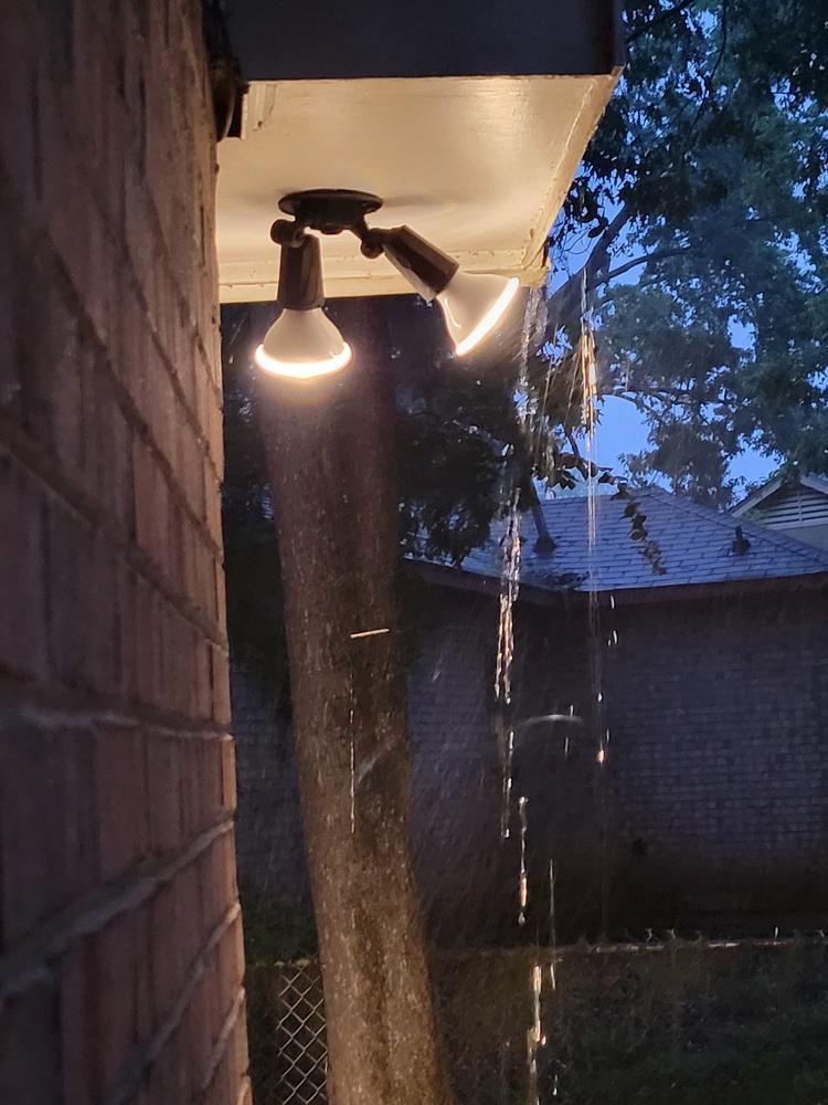 PAR30 LED Bulb, Dusk to Dawn, 850 Lumens - Customer Photo From Lemories Ingram