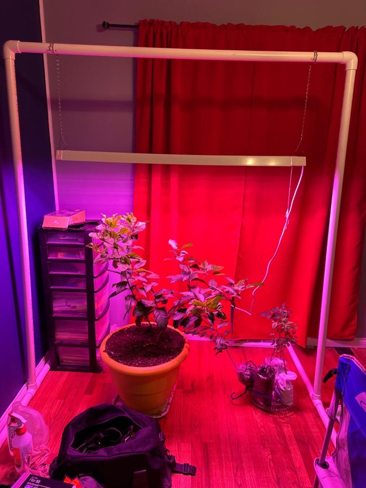 SuncoGrow LED Grow Light, 40W Full Spectrum, Linkable - Customer Photo From David Warner