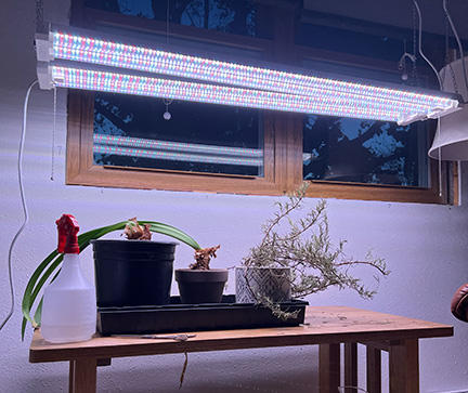 SuncoGrow LED Grow Light, 40W Full Spectrum, Linkable - Customer Photo From Stephen Clark