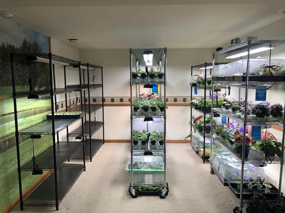 SuncoGrow LED Grow Light, 4ft, 40W Full Spectrum, Linkable - Customer Photo From Darryl Hoover