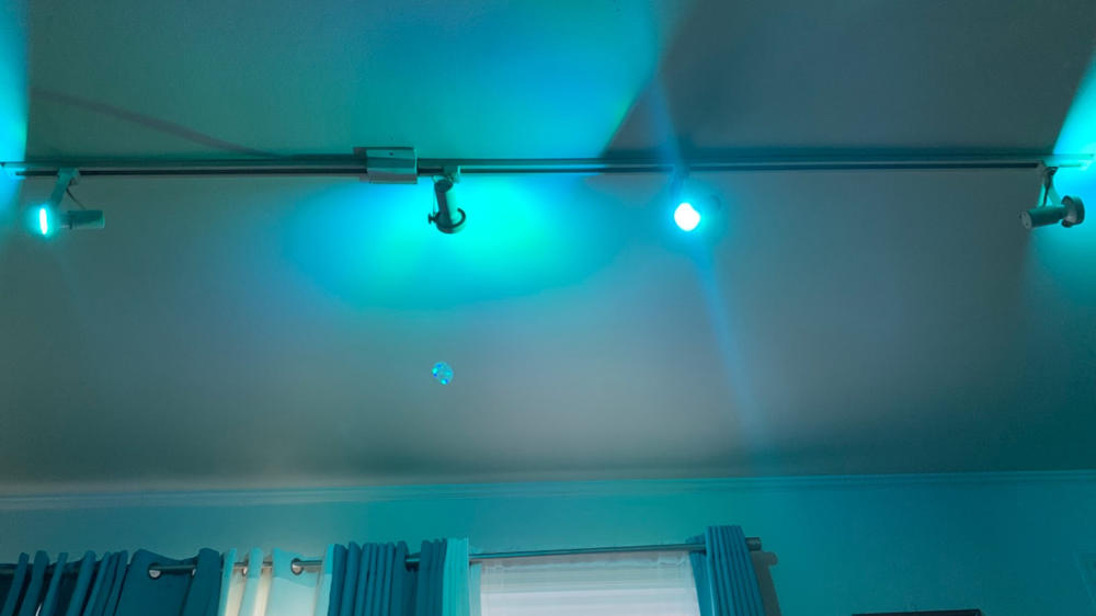 PAR20 LED Smart Bulb, WiFi, 400 Lumens - Customer Photo From Stephanie Dixon