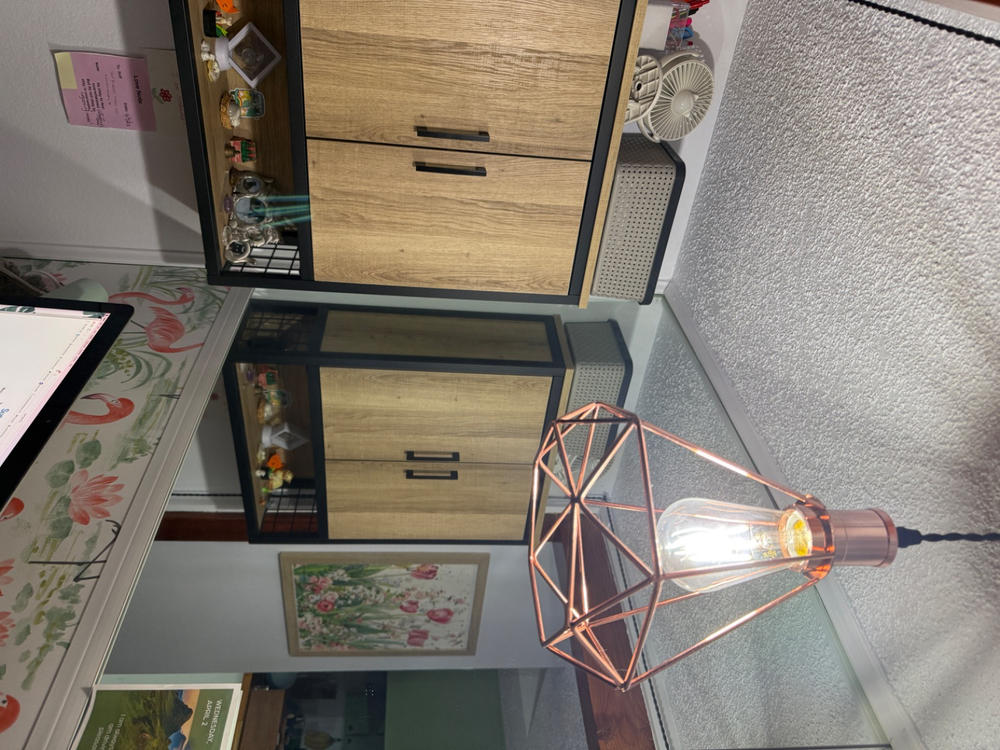 ST64 LED Bulb, Filament, 800 Lumens - Customer Photo From Janis Fontana