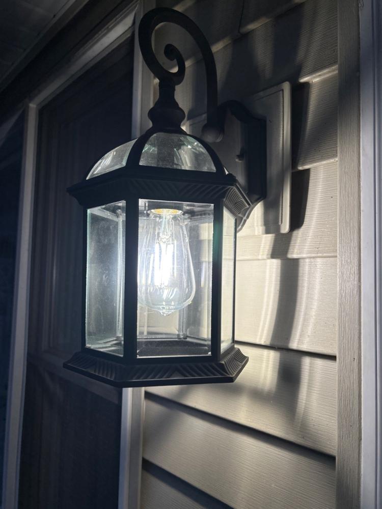 ST64 LED Bulb, Filament, Dusk to Dawn, 800 Lumens - Customer Photo From Adam Woody