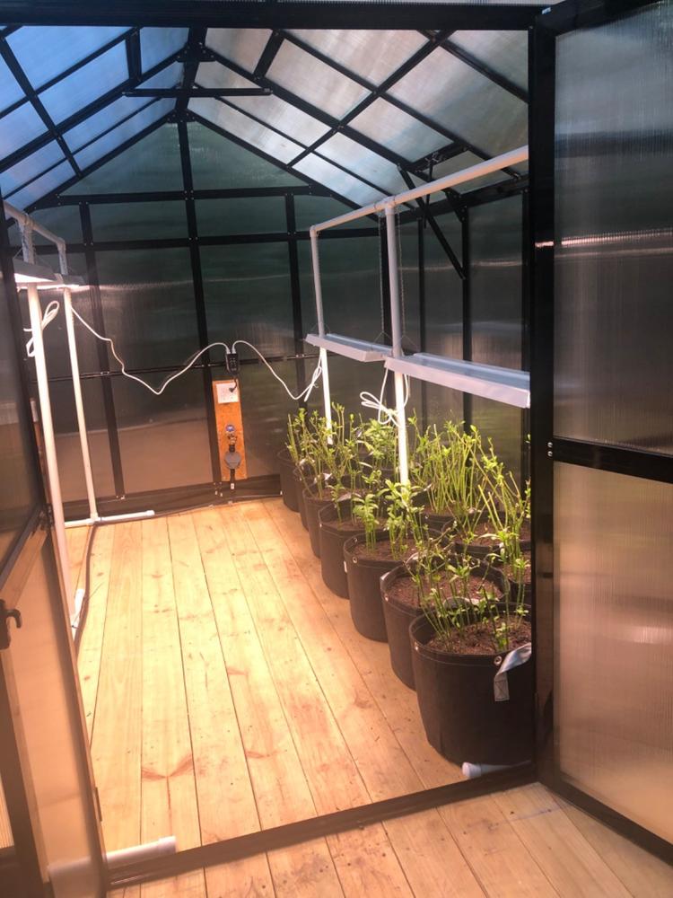 SuncoGrow Full Spectrum LED Grow Light, 80W, Linkable - Customer Photo From John Bertucci