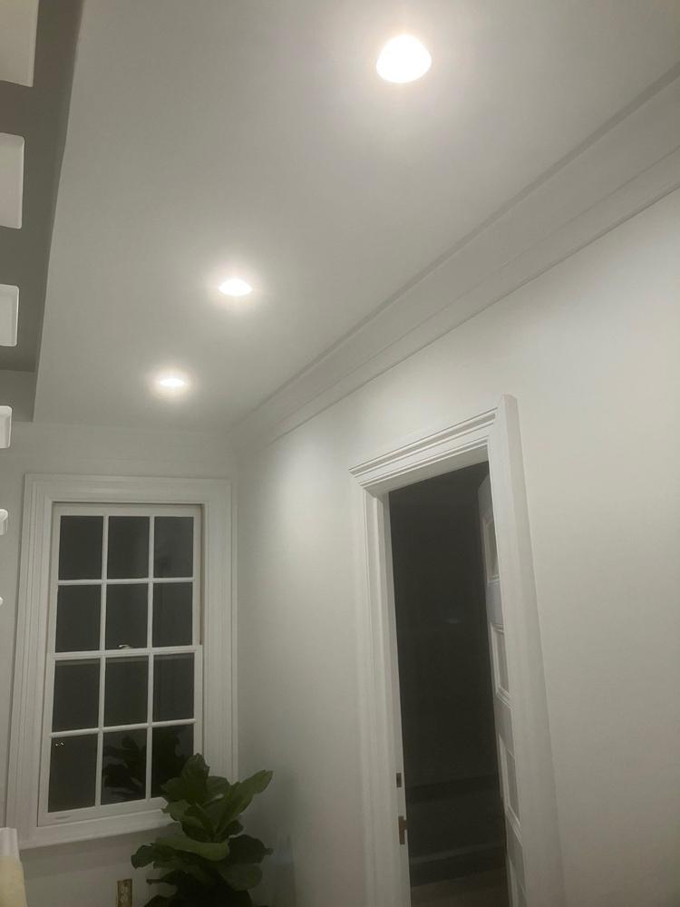 Recessed LED Retrofit Lighting, 4 Inch, Smooth, 660 Lumens, Selectable CCT (3000K-6500K) - Customer Photo From Erik Engquist