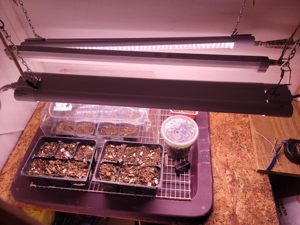 SuncoGrow, LED Grow Light, 2ft, 20W Full Spectrum, Linkable - Customer Photo From Joshua Zirkle