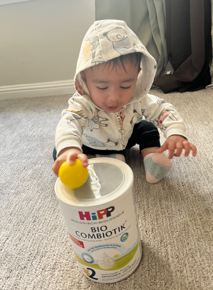 HiPP Dutch Stage 2 Organic Bio Combiotic Infant Milk Formula – Healthier  Baby Living