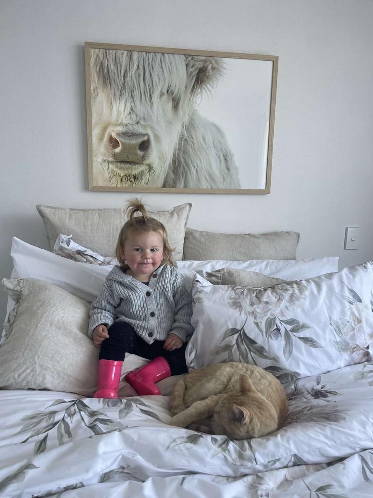 The White Highland Cow - Customer Photo From Paula Penny