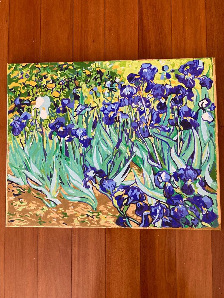 Irises by Vincent Van Gogh - Customer Photo From Marie Palmer