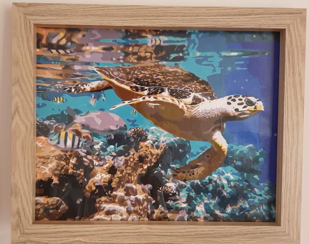 Coral and Sea Turtle kit - Customer Photo From Catherine Letchford 