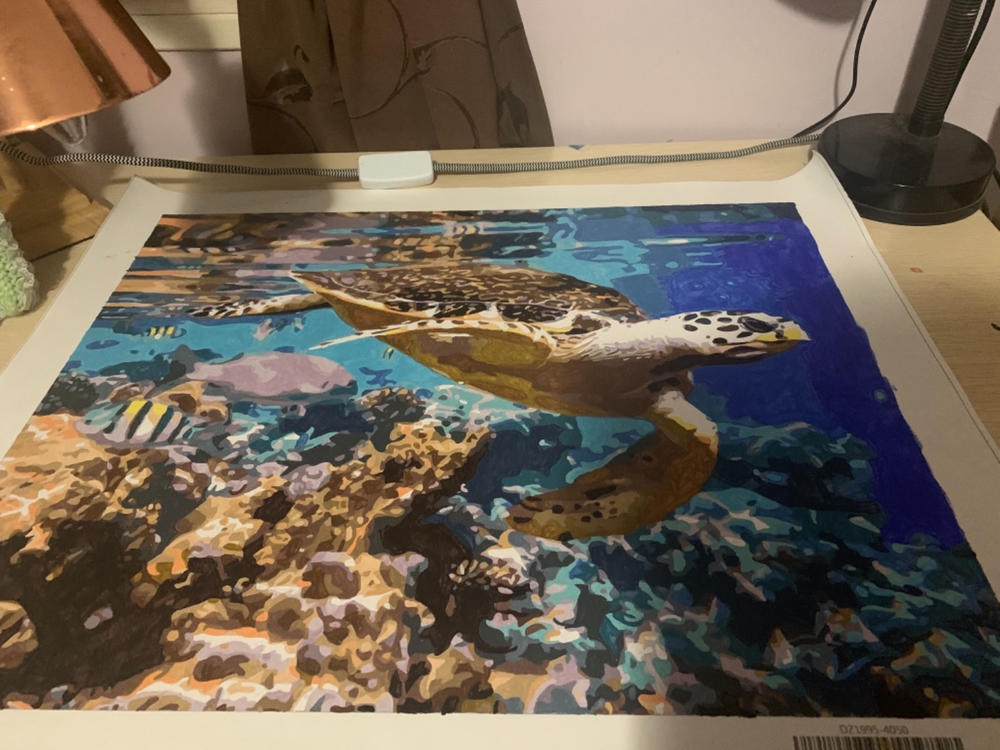 Coral and Sea Turtle kit - Customer Photo From Emma Micallef