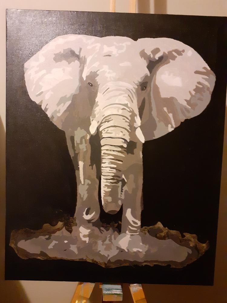 The Elephant kit Paint Plot Australia