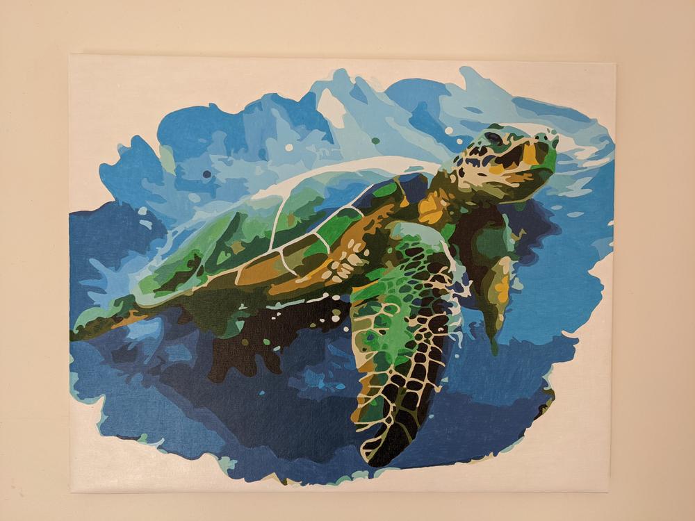 Green Sea Turtle kit - Customer Photo From Cassie