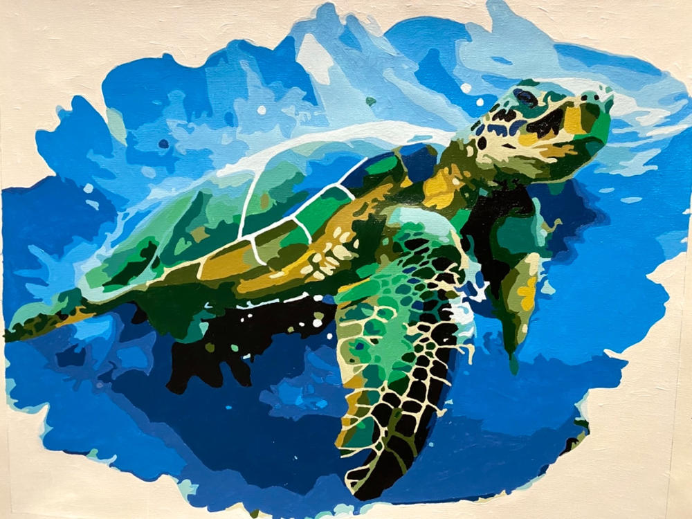 Green Sea Turtle kit - Customer Photo From Dakota Kljajic