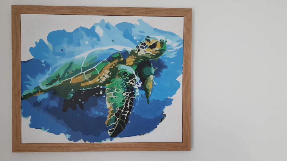 Green Sea Turtle kit - Customer Photo From Gillian Anderson