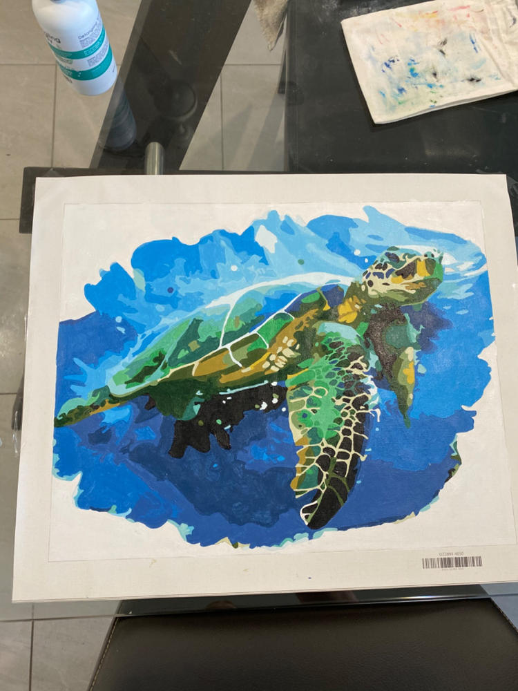 Green Sea Turtle kit - Customer Photo From Kylie Corbett