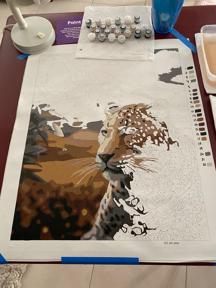 Mystery Painting Kit - Customer Photo From Michele Smalley
