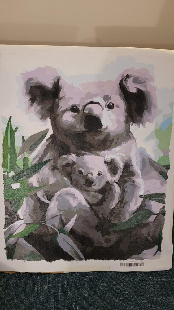The Koala kit - Customer Photo From Elize Brummer