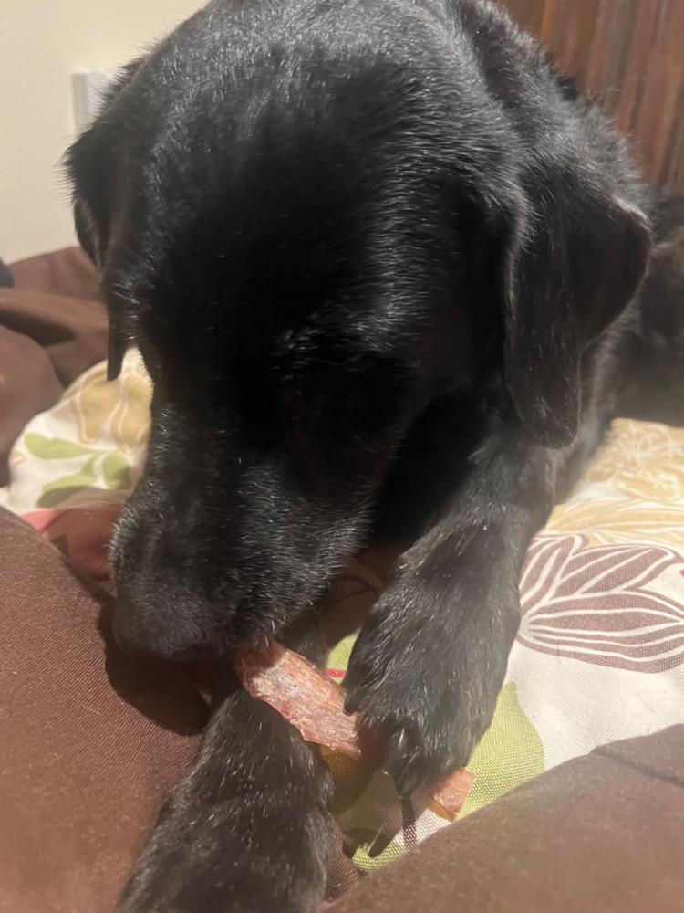 Golden Tendons 1kg - NZ Dog Chews - Customer Photo From Gianna Savoie