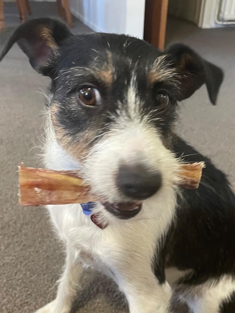 Golden Tendons 1kg - NZ Dog Chews - Customer Photo From Anonymous