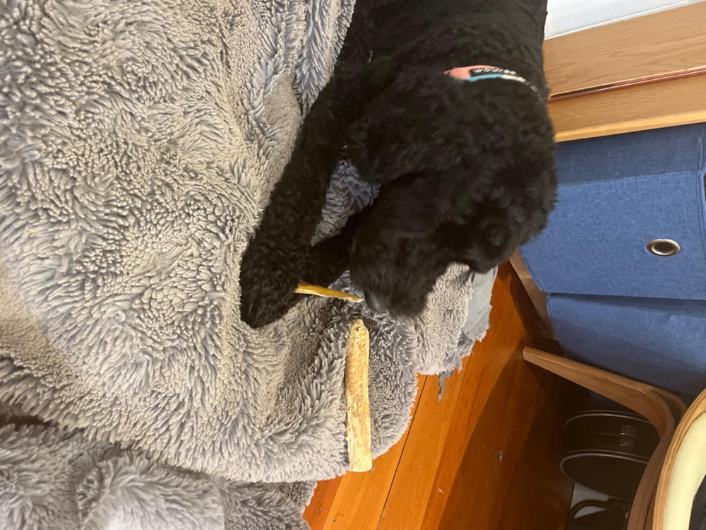 Golden Tendons 1kg - NZ Dog Chews - Customer Photo From Julene Marr